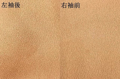 平和屋着物●訪問着　枝花文　金銀彩　正絹　逸品　AABN3775fy