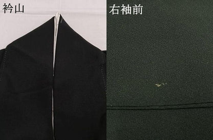 平和屋着物●豪華黒留袖　吉祥花鳥文　金銀彩　正絹　逸品　AABN3861fy