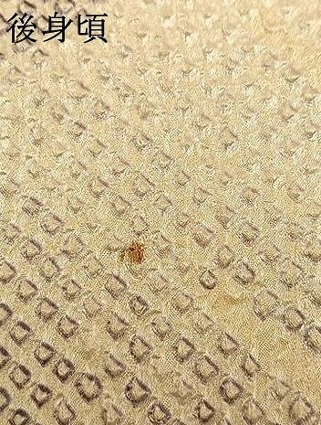 平和屋着物●上質な小紋　総絞り　遠山文　正絹　逸品　AABN3881fy