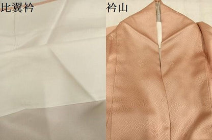 平和屋着物●豪華色留袖　駒刺繍　雪輪花文　金彩　ロング丈　正絹　逸品　AABN5322ph
