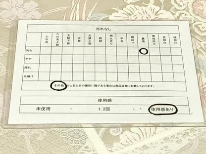 平和屋着物◎六通柄袋帯　唐織　鳳凰更紗花文　銀糸　正絹　逸品　AABN5366dk