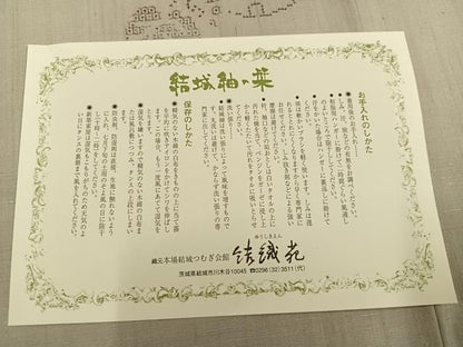 平和屋着物●本場結城玉紬　100亀甲　飛び亀甲　雪輪葡萄蔦の葉文　結織苑　保証書付き　正絹　逸品　AABN5809ph
