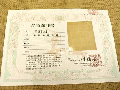 平和屋着物●本場結城玉紬　80亀甲　格子　保証書付き　結織苑　正絹　逸品　AABN5810ph