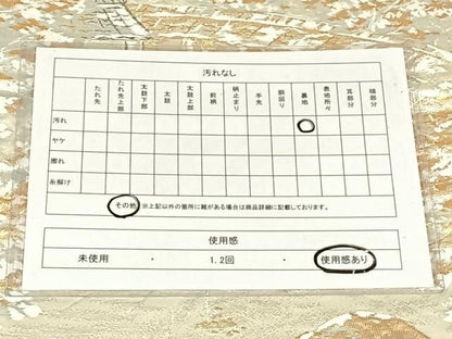 平和屋着物◎六通柄袋帯　風景文　金銀糸　正絹　逸品　AABN6089dk