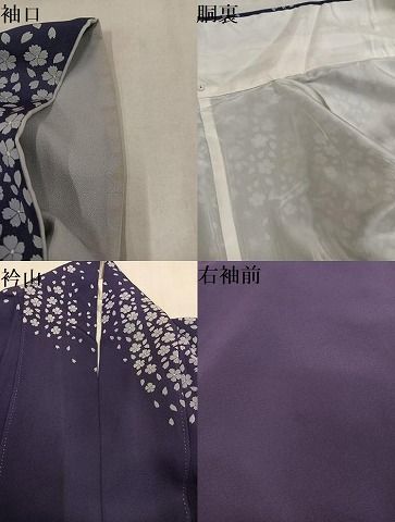 平和屋着物●東京友禅　菅有鬼一　訪問着　桜　正絹　逸品　AABN8347ph