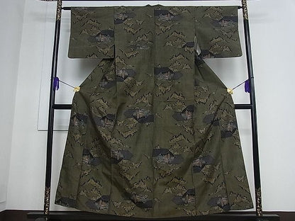平和屋着物■上質な紬 名所風景文 逸品 an2027