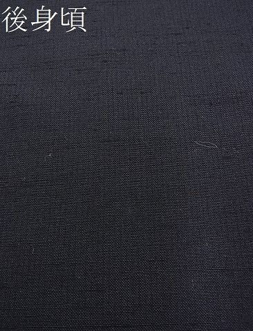 平和屋着物■上質な紬 風景文 逸品 BAAC5873hj