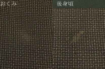 平和屋着物■男性　お召　絣文様　逸品　BAAL0782hj