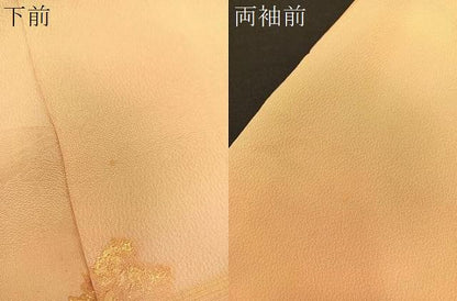 平和屋着物■豪華色留袖　手描き　名所風景　暈し染め　正絹　逸品　BAAM1050gt