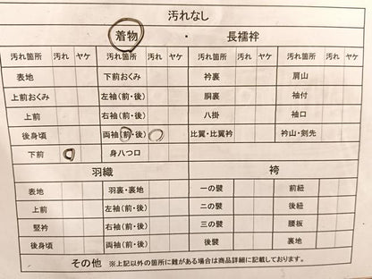 平和屋着物■豪華色留袖　手描き　名所風景　暈し染め　正絹　逸品　BAAM1050gt
