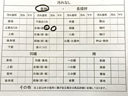 平和屋着物■上質なお召 麻の葉文様 正絹 逸品 BAAM1162sa
