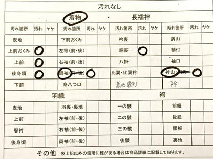平和屋着物■豪華色留袖　作家物　手描き　風景文　正絹　逸品　BAAM1250sa