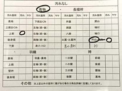 平和屋着物■訪問着　草花文　暈し染め　金彩　鬼しぼ縮緬　三越扱い　正絹　逸品　BAAM5006sa