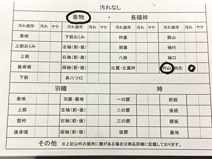 平和屋着物■豪華色留袖　桐の葉　正絹　逸品　BAAM5559yt