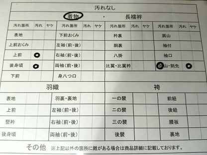 平和屋着物■上質なお召　横段文　正絹　逸品　BAAM9169me
