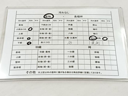 平和屋着物■上質なお召 吉祥文 正絹 逸品 BAAN4114xa