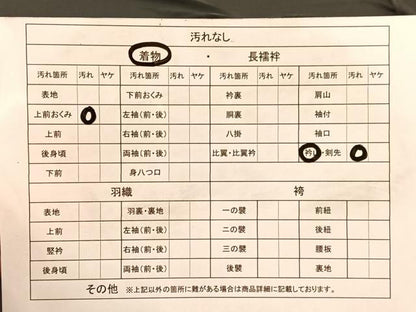 平和屋着物■色留訪問着 片輪車 暈し染め 正絹 逸品 BAAN6385hv