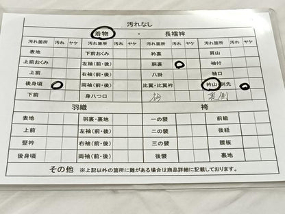 平和屋着物■上質なお召 間道 正絹 逸品 BAAO1244xa