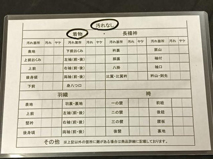平和屋着物■上質なお召 7マルキ 風景文 正絹 逸品 BAAO4983hz