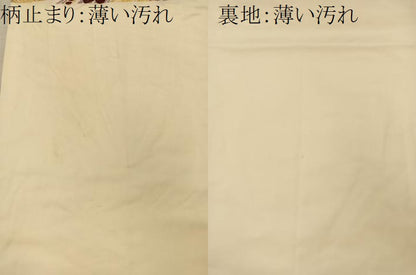 平和屋着物■六通柄袋帯 唐織 菱天井花丸文 金糸 正絹 逸品 BAAQ4205du