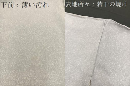 平和屋着物■訪問着　浜松雪輪牡丹花文　たたき染め　正絹　逸品　BAAQ7383hv