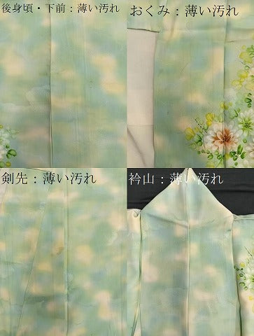 平和屋着物■訪問着　手描き　草花文　暈し染め　正絹　逸品　BAAQ7535ev
