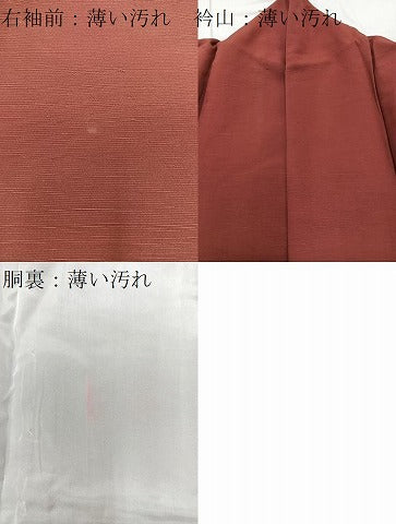 平和屋着物■豪華色留袖 雪芝花文 金彩 お召縮緬 正絹 逸品 BAAQ8408bs