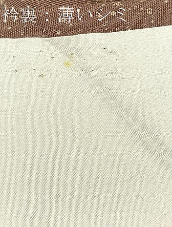 平和屋着物■豪華色留袖　総刺繍　芝草花文　たたき染め　正絹　逸品　BAAR0131jr