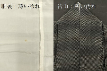 平和屋着物●上質な小紋　横段文　正絹　逸品　BAAR5977hz