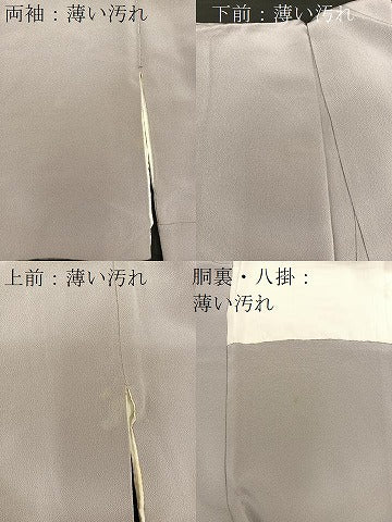 平和屋着物■松尾光琳 色留袖 駒刺繍 草葉文 銀彩 鬼しぼ縮緬 正絹 逸品 BAAR5999hz