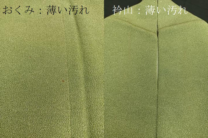 平和屋着物□江戸小紋 作家物 流水文 鬼しぼ縮緬 正絹 逸品
