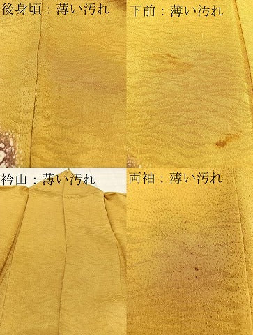 平和屋着物■豪華色留袖 エ霞文 暈し染め 金銀彩 正絹 逸品 BAAR9349xa