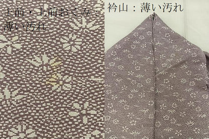 平和屋着物■上質なお召 草花文 正絹 逸品 BAAS4333ea