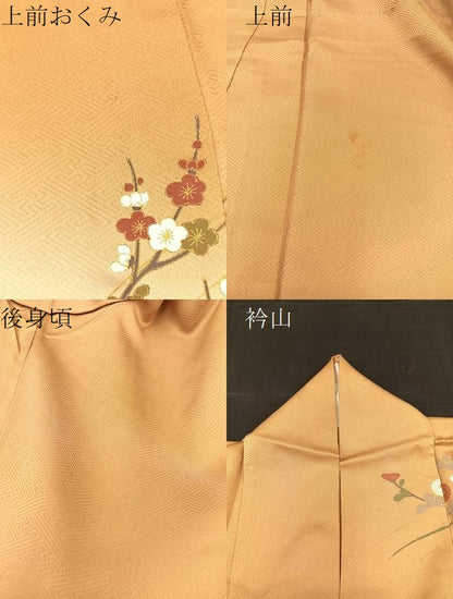 平和屋着物▽訪問着 単衣 花蝶文 暈し染め 金彩 正絹 逸品 BAAS8360hv