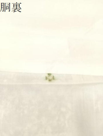 平和屋着物●上質な紬 風景秋草文 正絹 逸品 未使用 BAAT0911yc