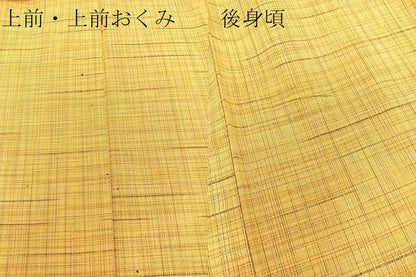 平和屋着物▽上質な紬 単衣 格子柄 正絹 逸品 BAAT1121hv