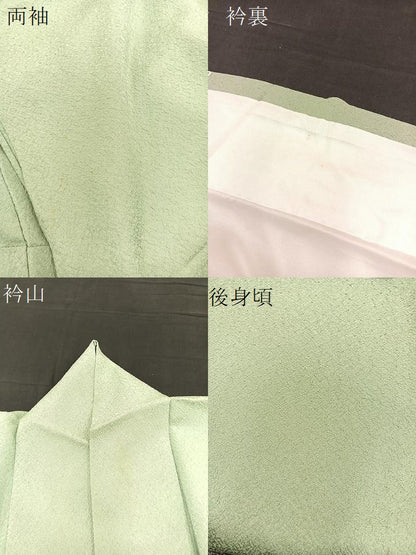 平和屋着物▽上質な色無地　単衣　紋意匠　夏虫色　正絹　逸品　BAAT1157hv
