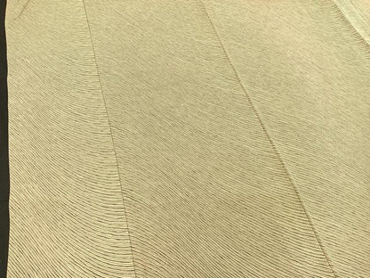 平和屋着物▽上質な小紋 単衣 紗線文 正絹 逸品 BAAT1158hv