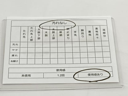 平和屋着物◎六通柄袋帯　エスニカルパピルス　金銀糸　正絹　逸品　BAAT2791ea