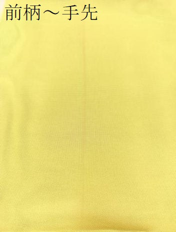 平和屋着物＊夏物 六通柄袋帯 桔梗 金糸 正絹 逸品 BAAT3142hv