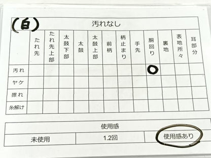 平和屋着物◎両面 六通柄袋帯 唐織 乱菊 銀糸 正絹 逸品 BAAT5097jr