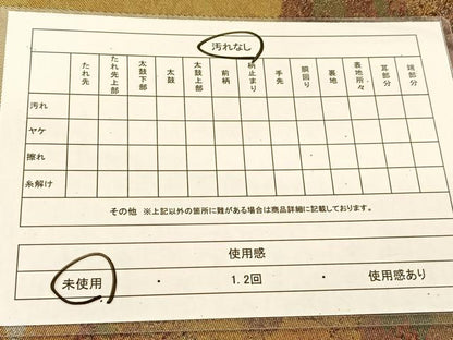 平和屋着物◎両面　六通柄袋帯　霞文　金銀彩　引箔　正絹　逸品　未使用　BAAT8176yc