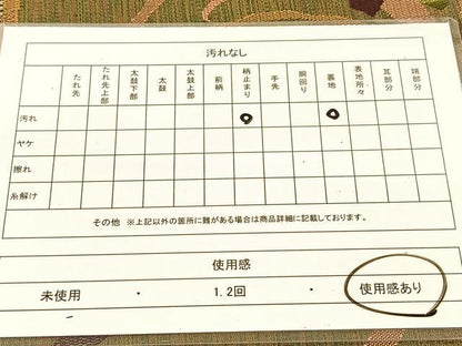 平和屋着物◎六通柄袋帯 唐織 洛中遺宝文 金糸 正絹 逸品 BAAT8221yc