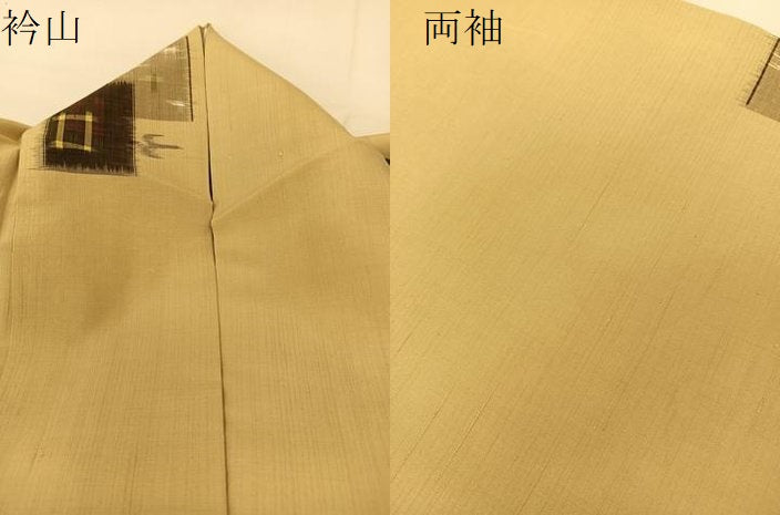 平和屋着物▽上質な紬 単衣 琉球絣文様 正絹 逸品 BAAT9041yc