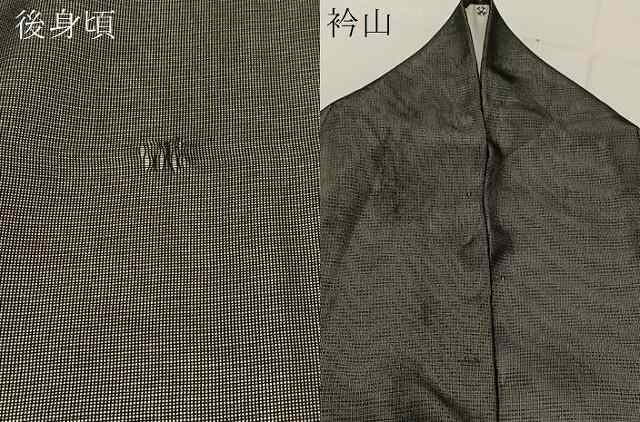 平和屋着物●訪問着　無双　紗袷　紗&amp;#10005;絽　鮎　黒地　正絹　逸品　BAAT9150yc