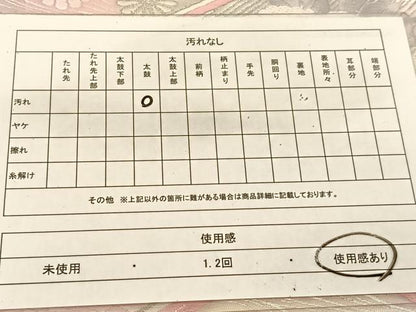平和屋着物◎六通柄袋帯 唐織 松皮菱花文 銀糸 正絹 逸品 BAAU2001yc