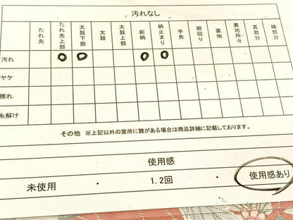 平和屋着物◎六通柄袋帯 唐織 光彩錦 プラチナ箔 鳳凰花文 正絹 逸品 BAAU2032yc