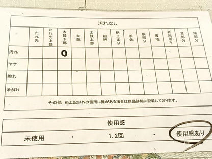 平和屋着物◎佐賀錦 六通柄袋帯 プラチナ箔 京三景 祇園巡行図 正絹 逸品 BAAU2099yc