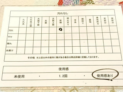 平和屋着物◎六通柄袋帯　唐織　プラチナ箔二重織　平安の雅　正絹　逸品　未使用　BAAU2236yc