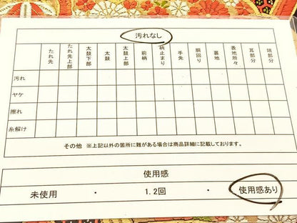 平和屋着物◎六通柄袋帯　唐織　雲取り花蝶青海波　金糸　正絹　逸品　BAAU2293yc